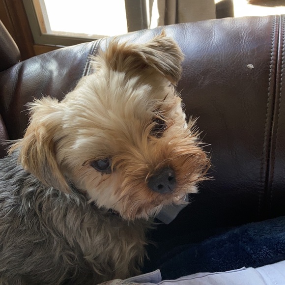 Meet your Posher, Donna - Picture 2 of 2